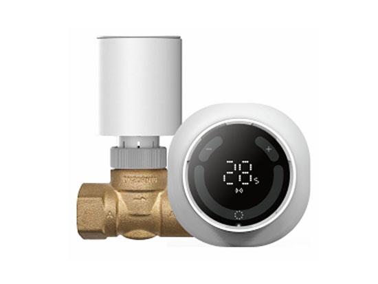 SASWELL Smart Radiator Thermostat X